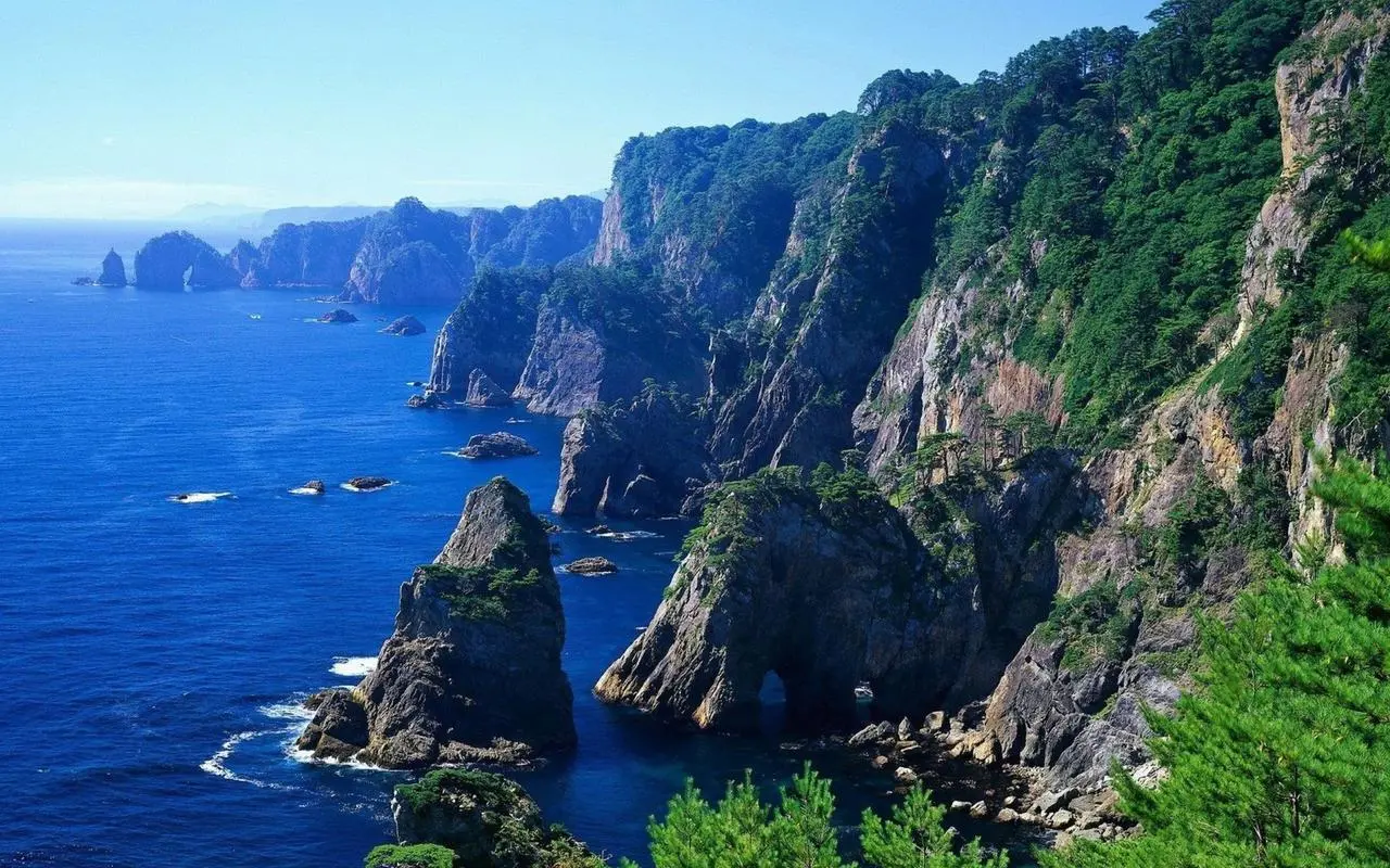 高效独特